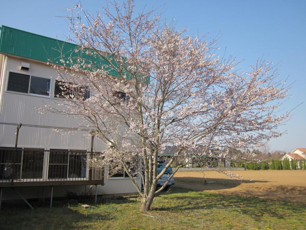 Narita Airport Hostel Shibayama Exterior photo